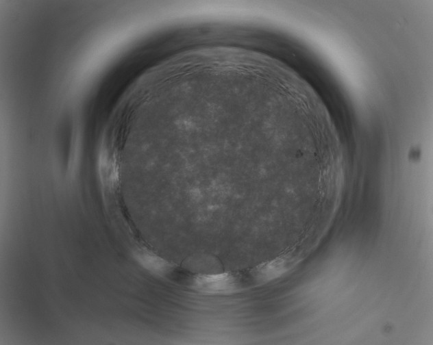 X0000116600431201001081153