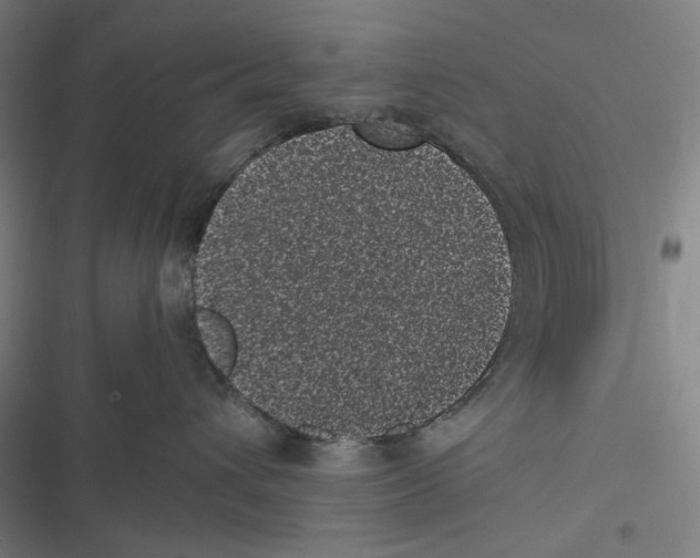 X0000116600432201001081153