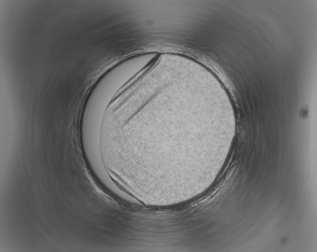 X0000116600433201001081153