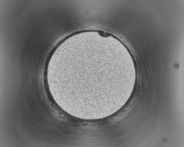 X0000116600434201001081153