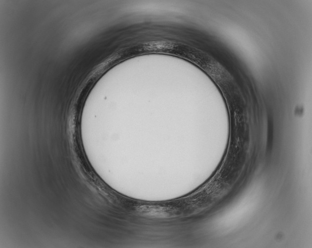X0000116600435201001081153