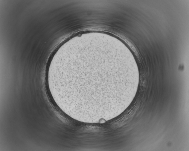 X0000116600437201001081153