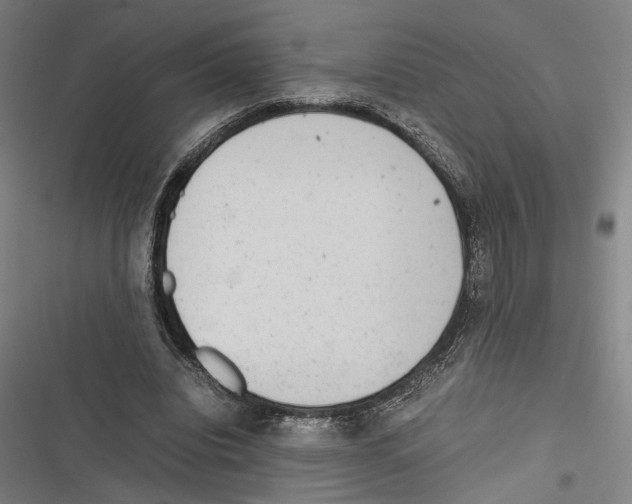X0000116600440201001081153
