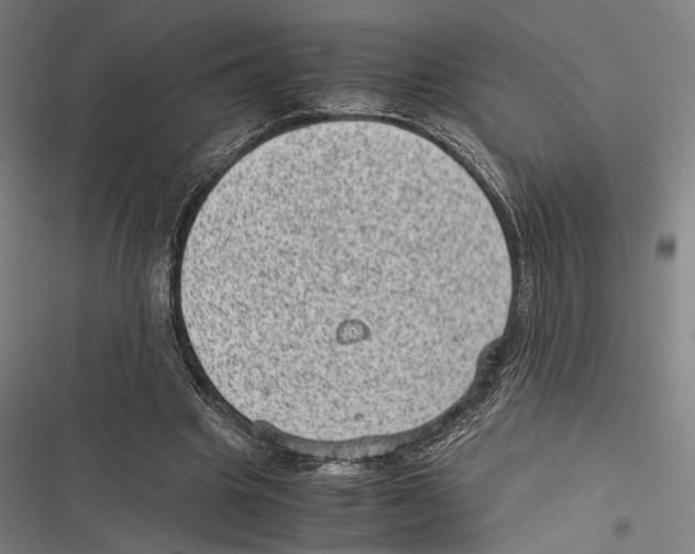 X0000116600441201001081153