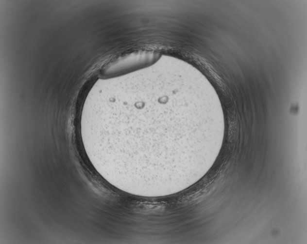 X0000116600443201001081153