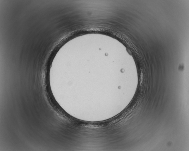 X0000116600444201001081153