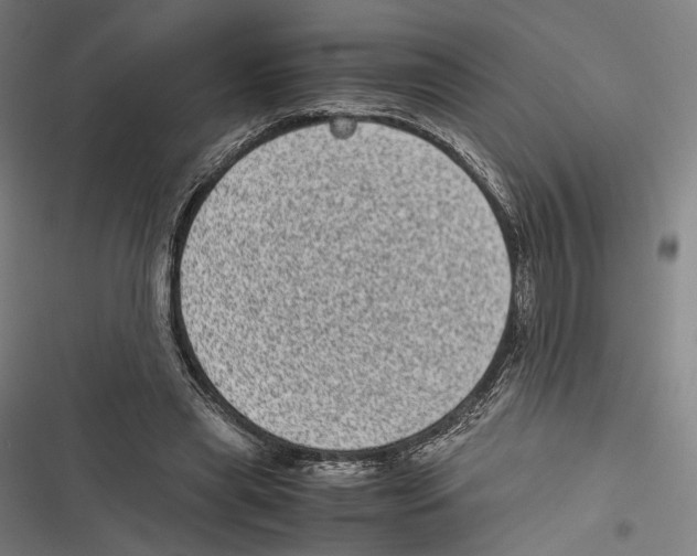 X0000116600445201001081153