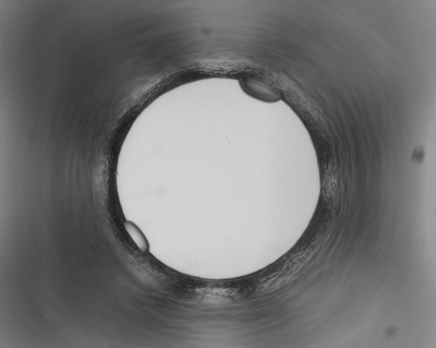 X0000116600448201001081153