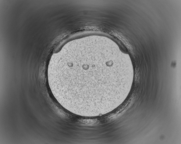 X0000116600449201001081153