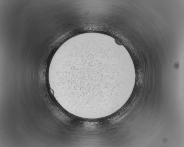 X0000116600450201001081153