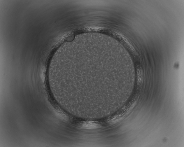 X0000116600451201001081153