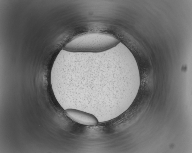 X0000116600452201001081153