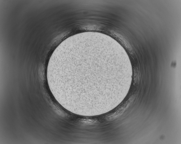 X0000116600453201001081153
