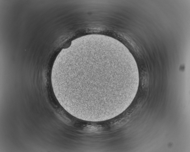 X0000116600455201001081153