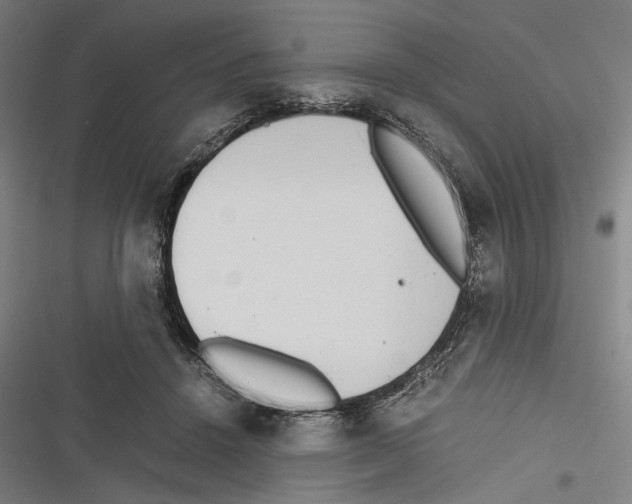 X0000116600456201001081153