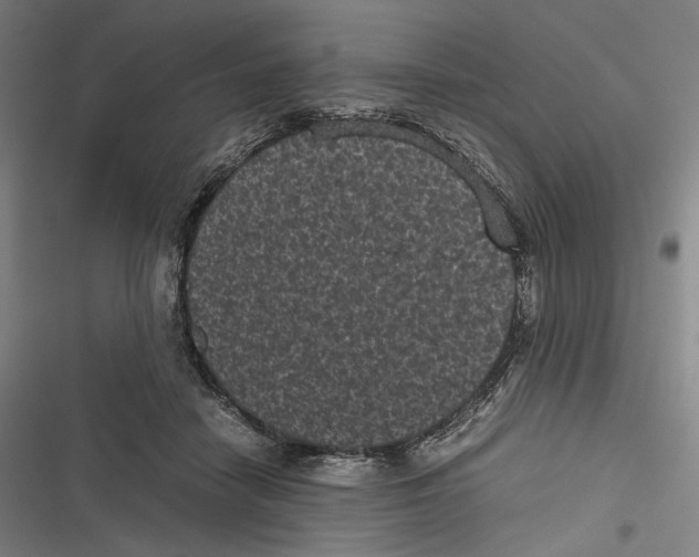 X0000116600458201001081153