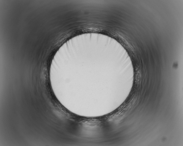 X0000116600459201001081153