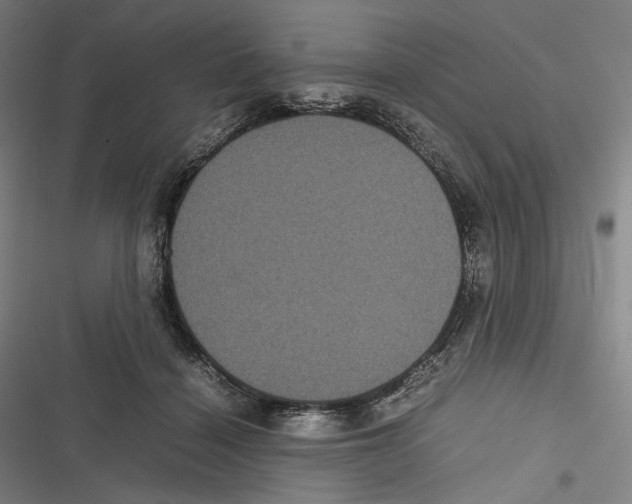 X0000116600460201001081153