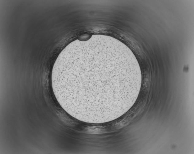 X0000116600461201001081153