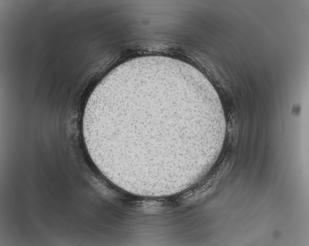 X0000116600462201001081153