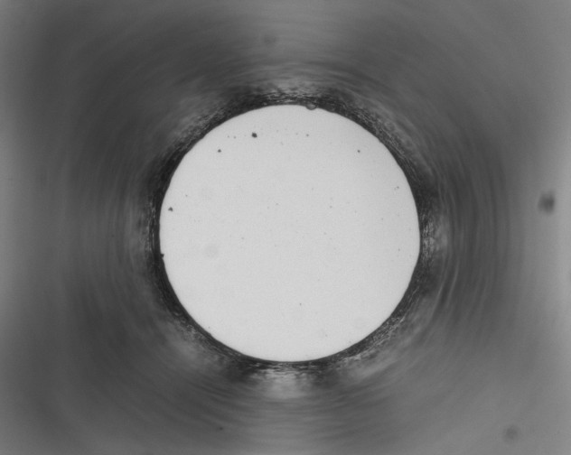 X0000116600464201001081153