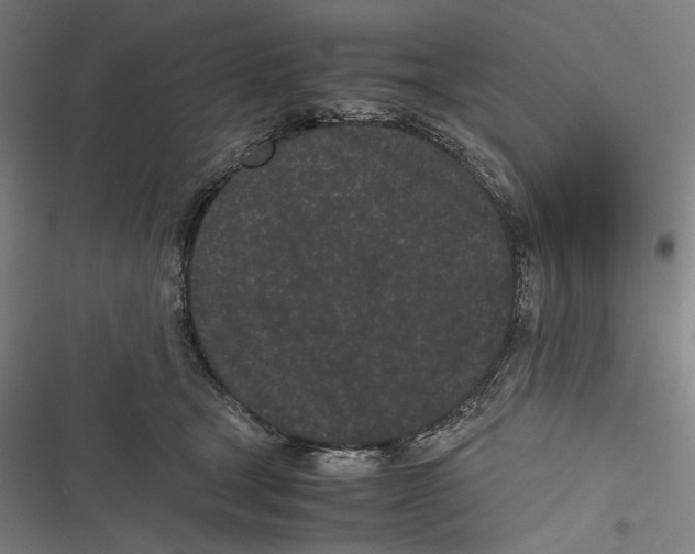 X0000116600465201001081153