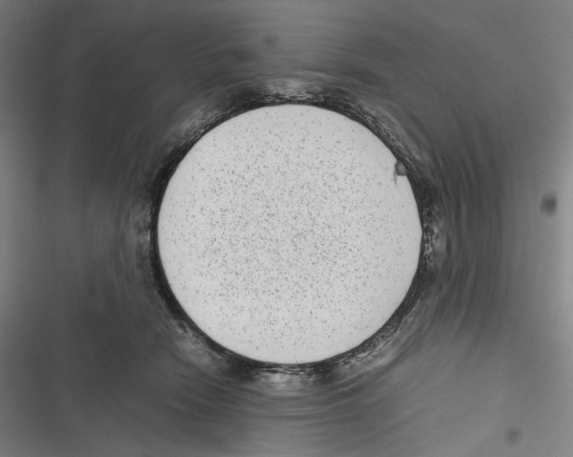 X0000116600466201001081153