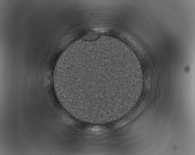 X0000116600467201001081153