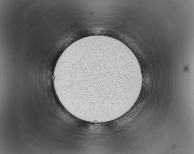 X0000116600470201001081153
