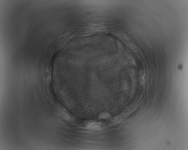 X0000116600471201001081153