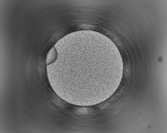 X0000116600473201001081153