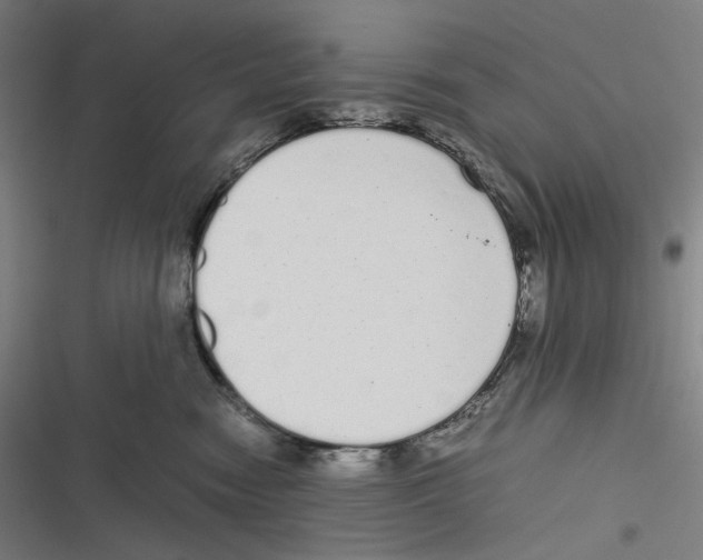 X0000116600474201001081153