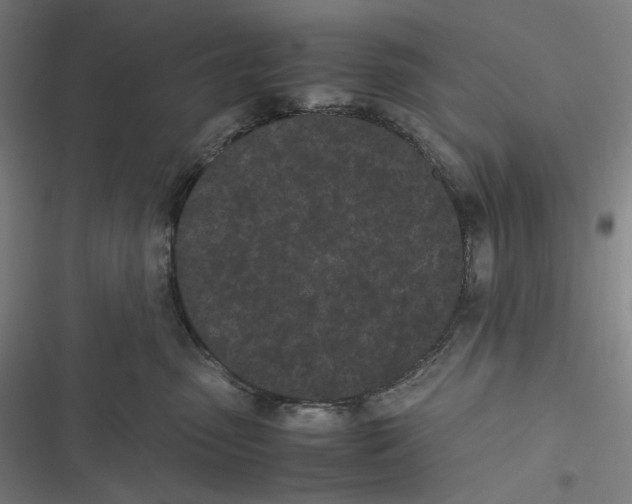 X0000116600475201001081153