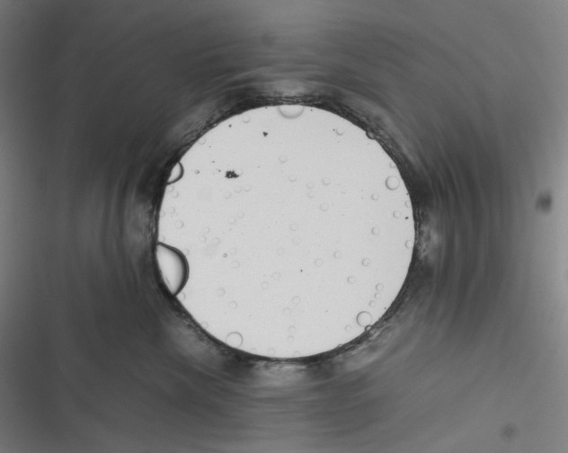 X0000116600476201001081153
