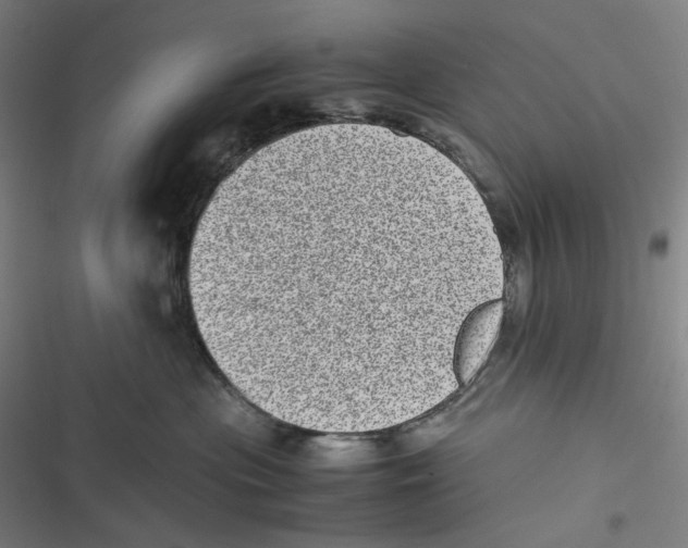 X0000116600477201001081153