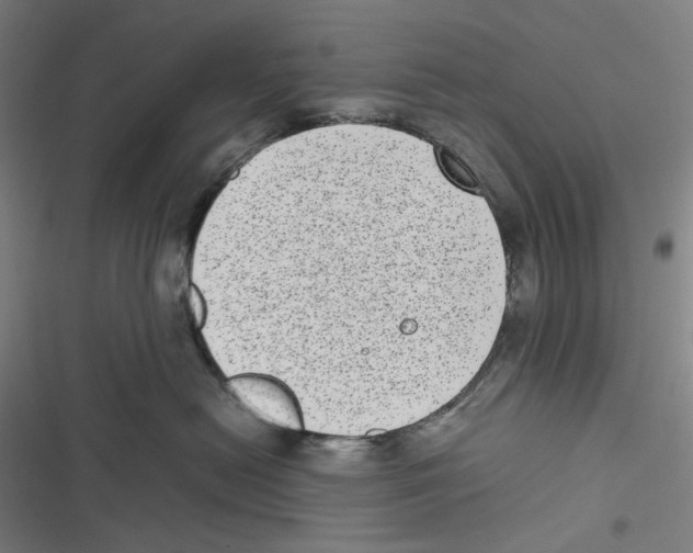 X0000116600478201001081153