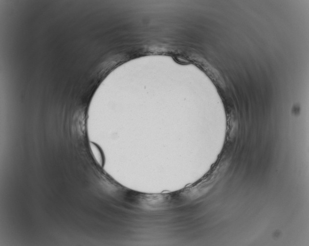 X0000116600479201001081153
