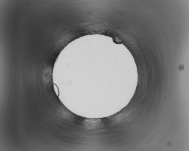 X0000116600480201001081153