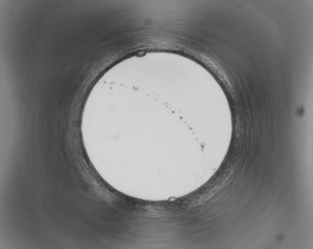 X0000116600481201001081153
