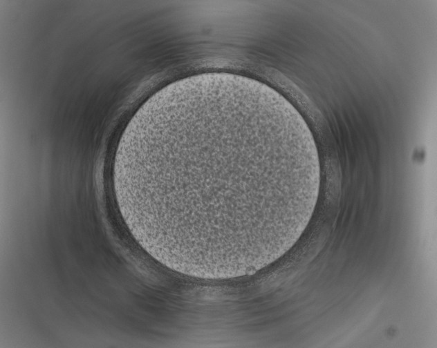 X0000116600482201001081153