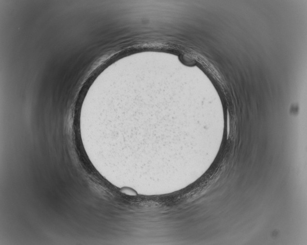 X0000116600483201001081153