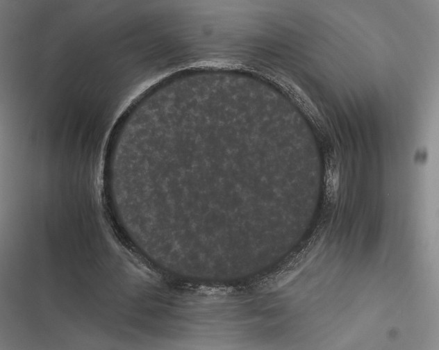 X0000116600484201001081153
