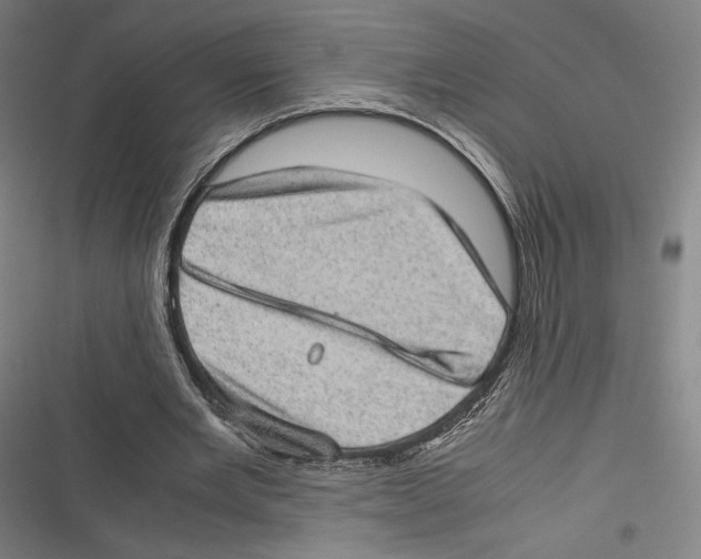 X0000116600485201001081153
