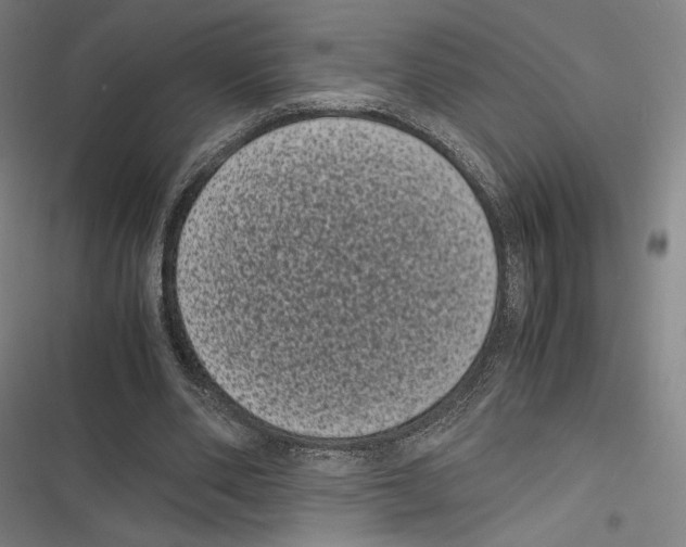 X0000116600486201001081153