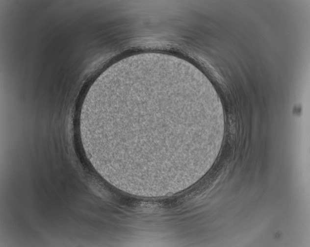 X0000116600487201001081153