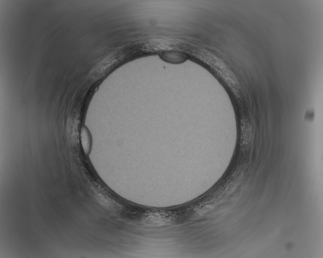 X0000116600489201001081153