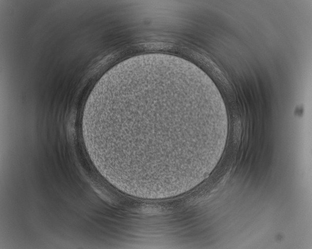 X0000116600490201001081153