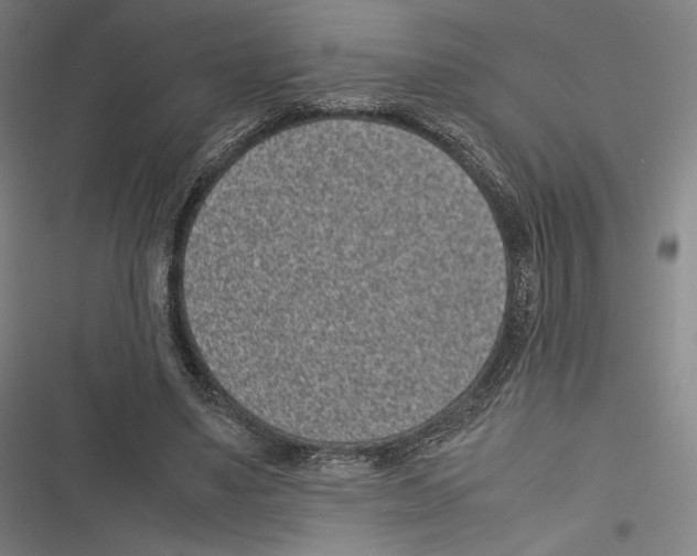 X0000116600491201001081152