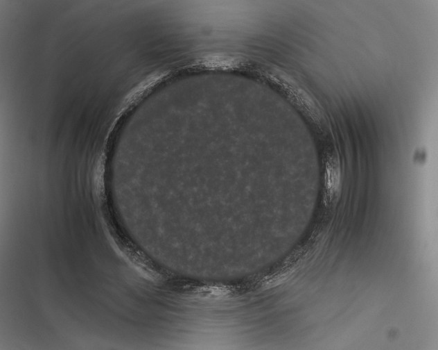 X0000116600492201001081152
