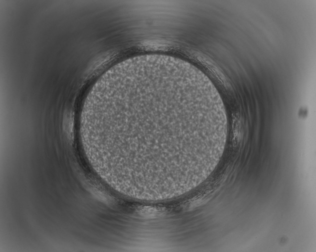 X0000116600494201001081152